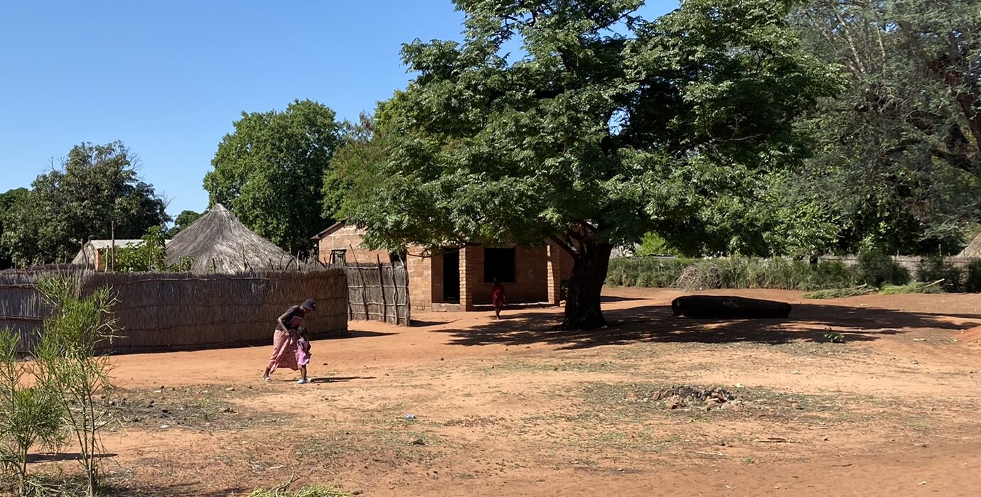 Thatched buildings, a shaded village courtyard and a large tree in Zambia.